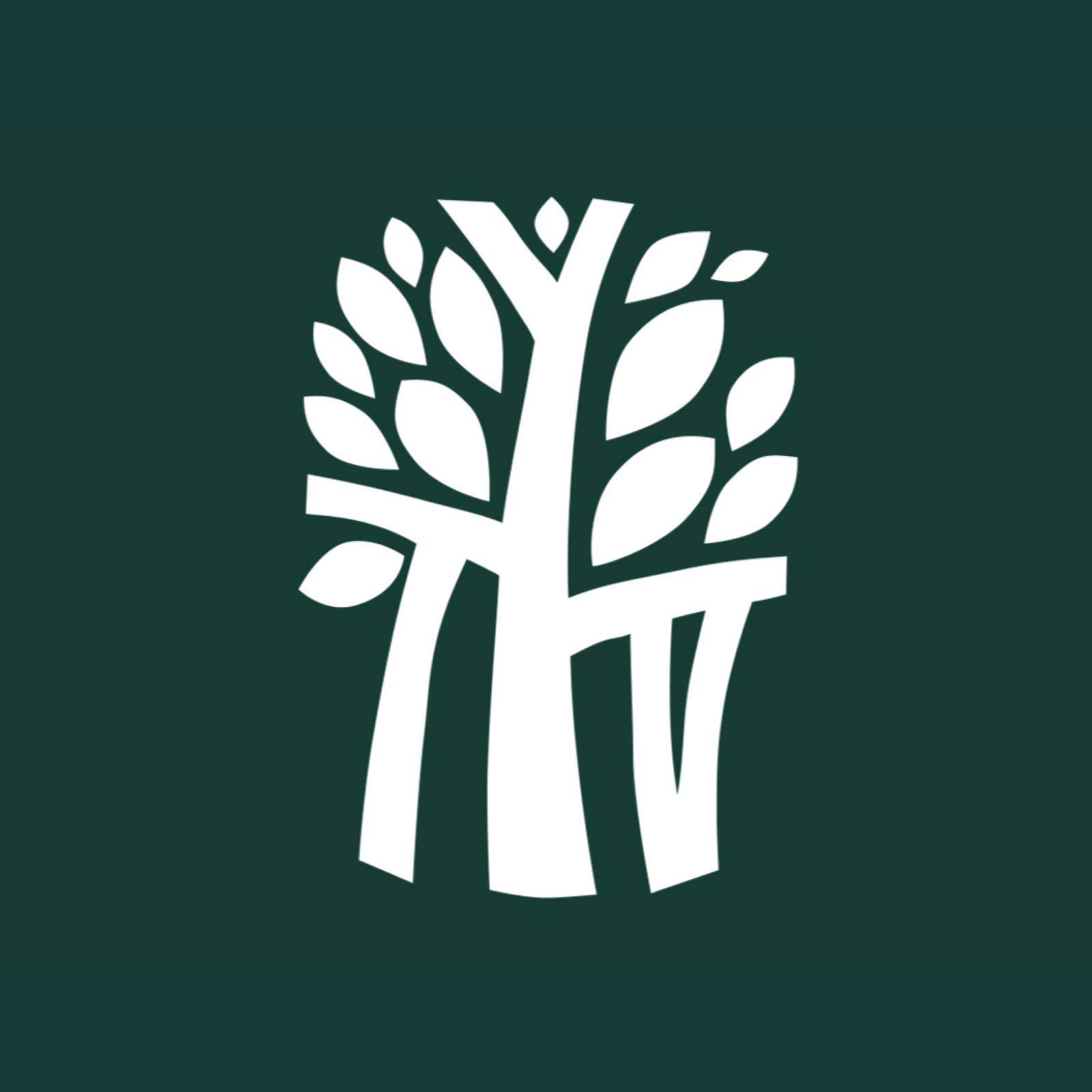 Banyan Tree Holdings Logo